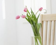 Tapeta Nature Flowers 642.jpg